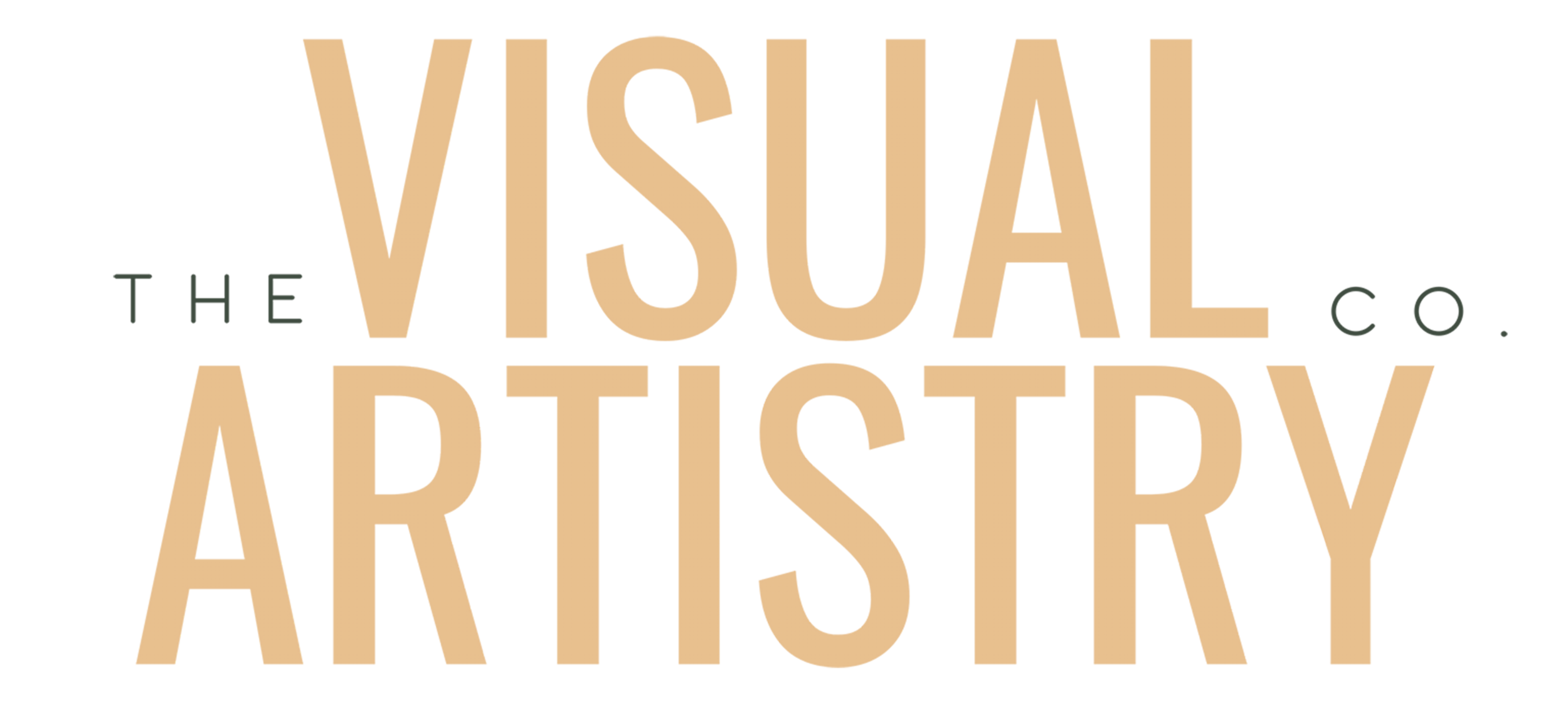 The Visual Artistry Co.