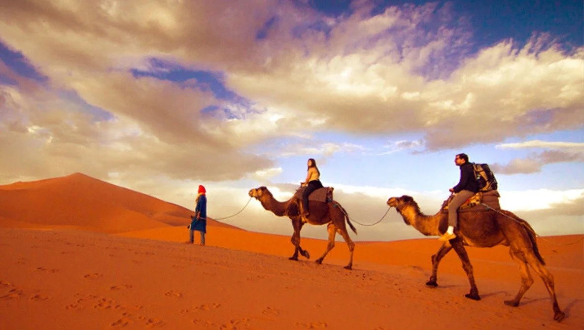 travel-photography-career-sahara-morocco-camels-hillary-fox.jpg
