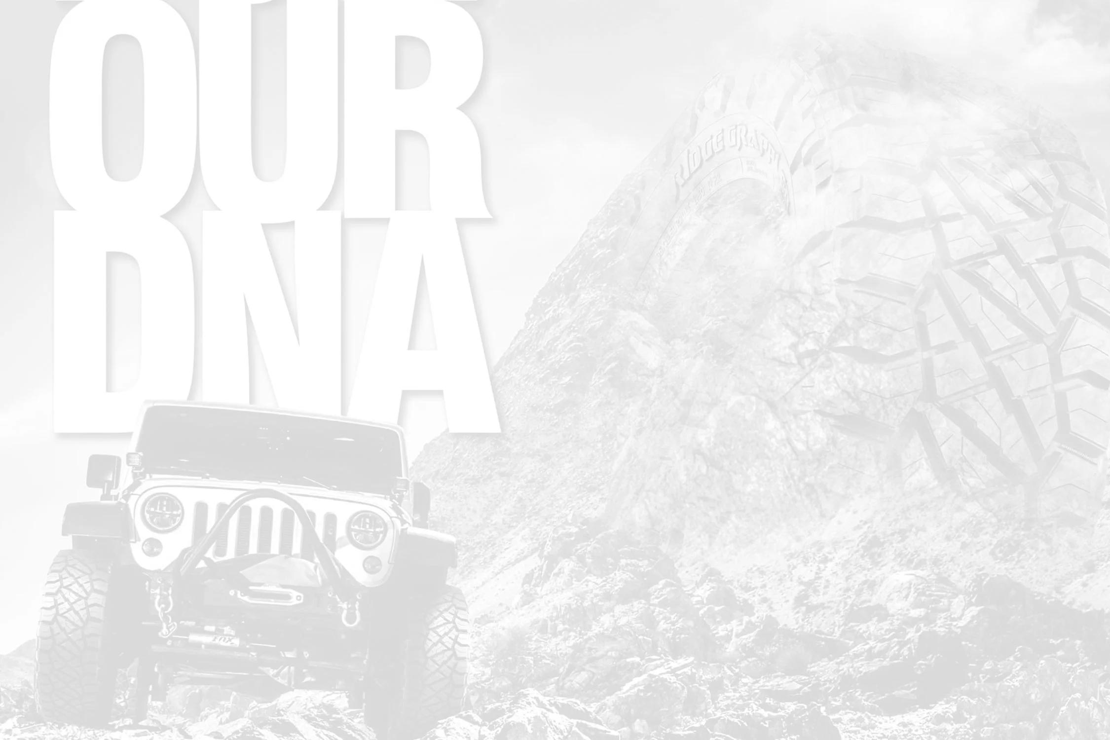 NTAd_Header.jpg
