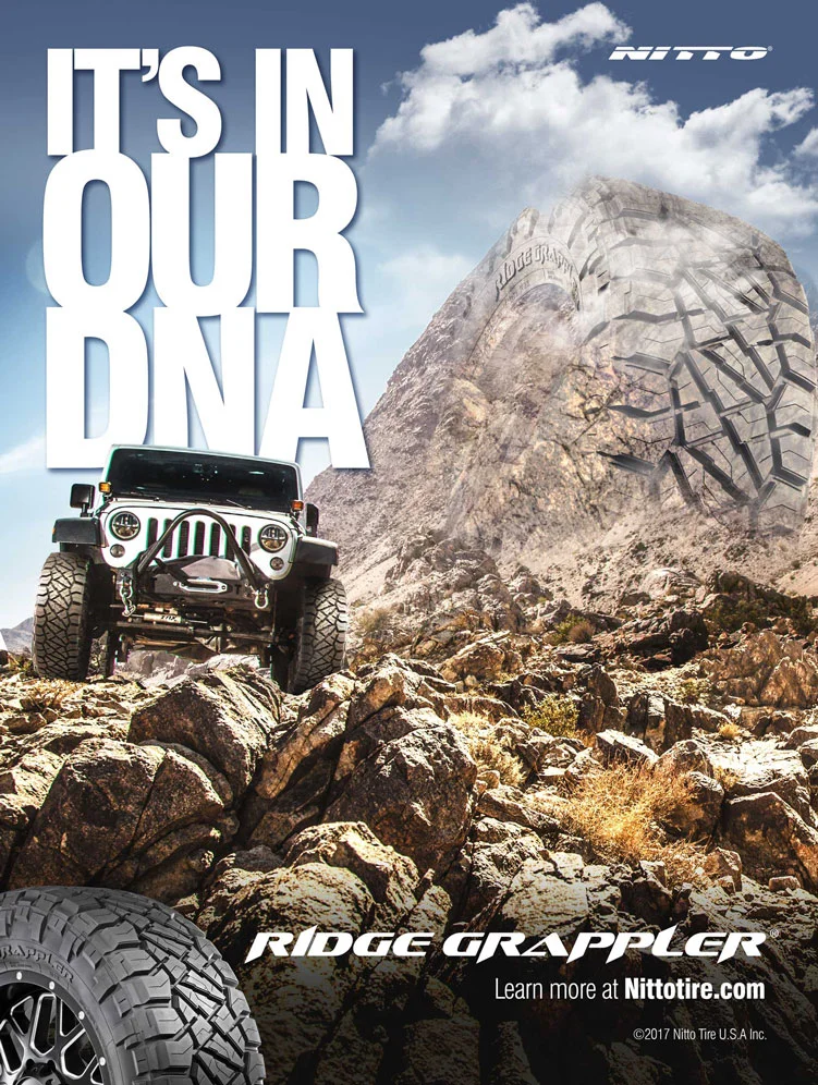NT_DNA_AD02.jpg