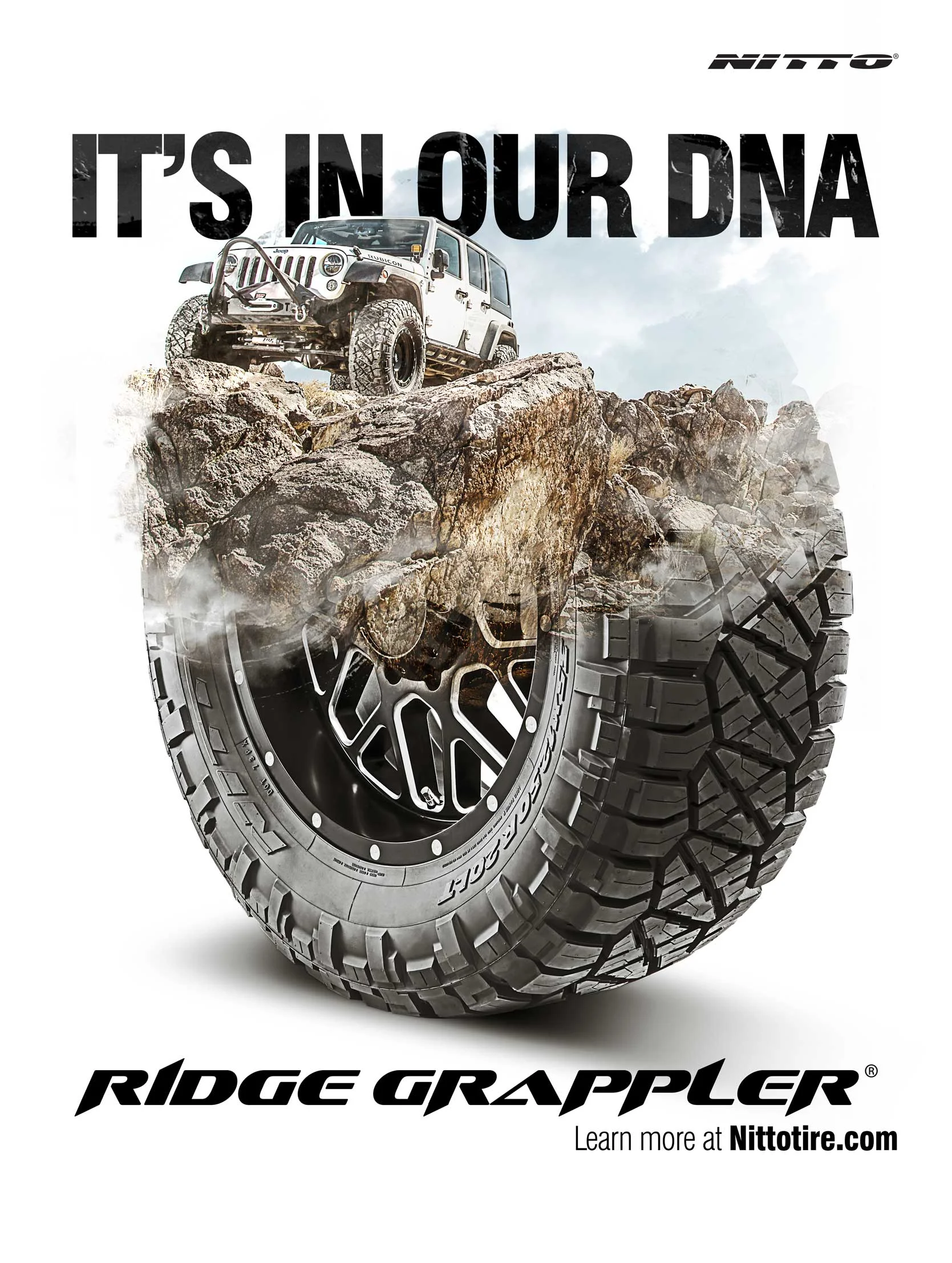 NT_DNA_AD.jpg