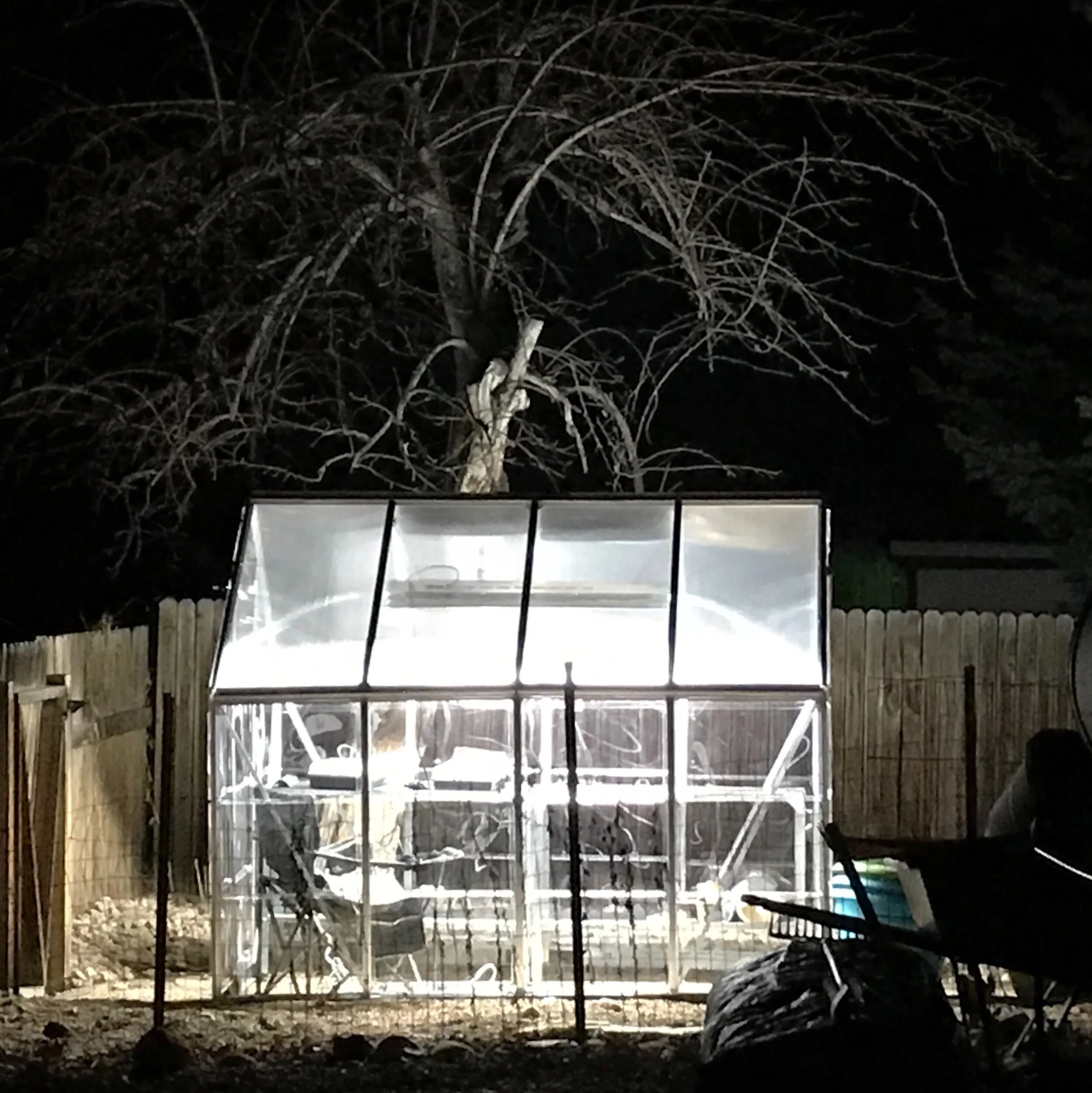 Seed Starting Series: Grow Lights, Heating Mats and Maybe a Greenhouse?