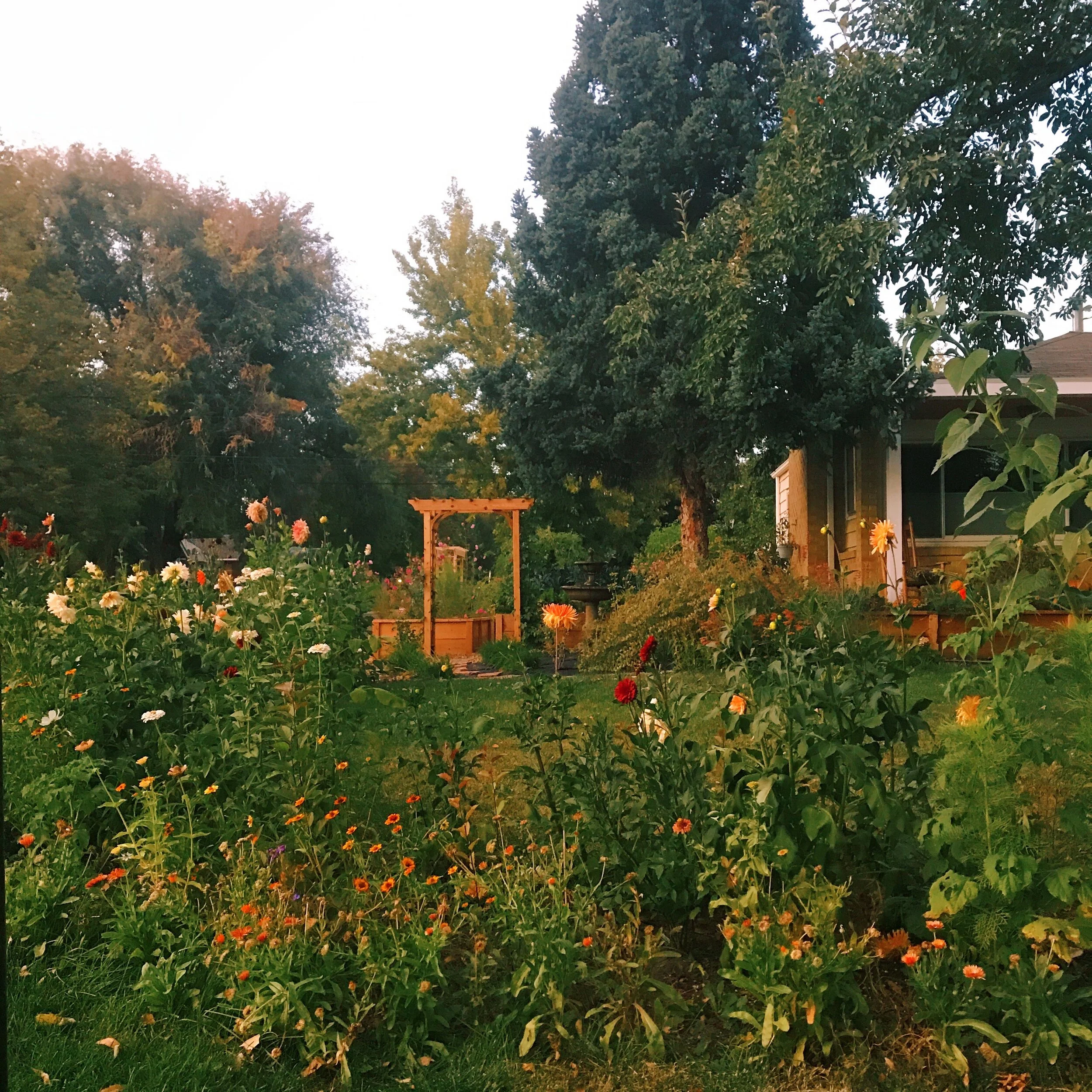 We design and plant flower gardens