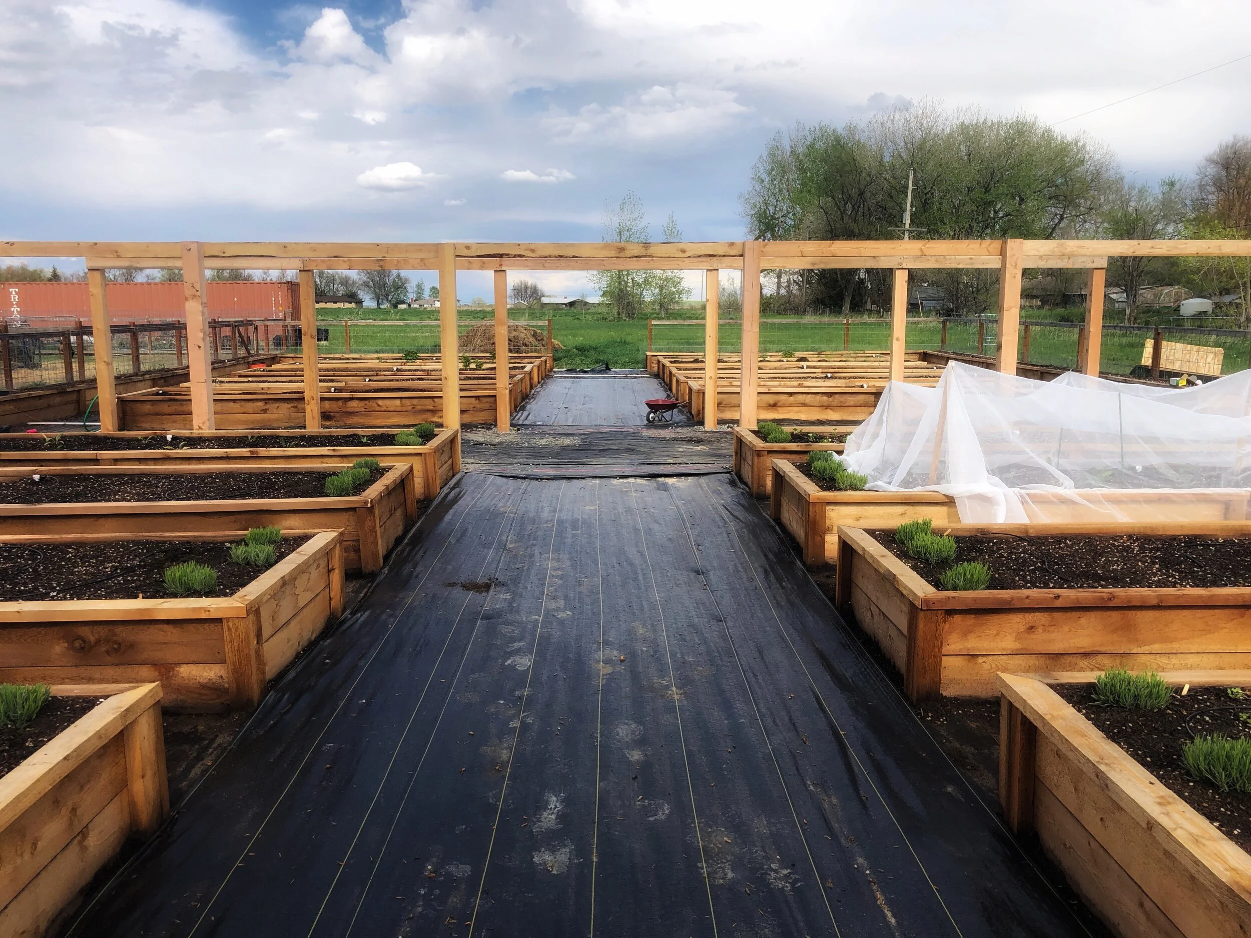 We design, build, & install gardens 