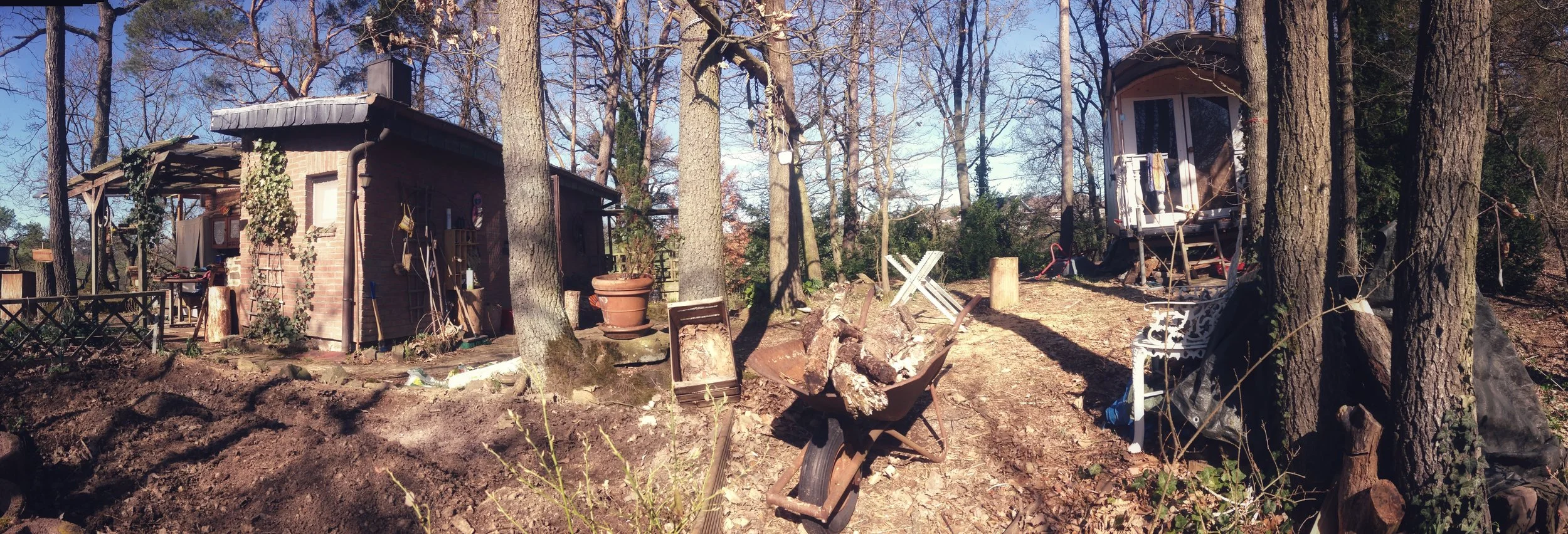 my home at the edge of the forest