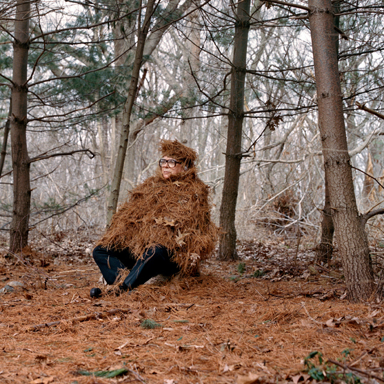 rewilding-ecourse.jpg
