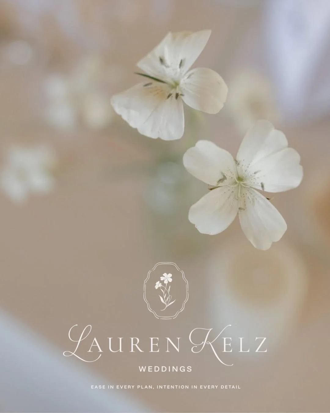 🎉 7 years. 100 planned weddings. And a brand-new look!

From my very first wedding to the 100th, this journey has been full of love, laughter, and unforgettable moments. Today, I&rsquo;m celebrating not just a milestone in numbers, but the incredibl