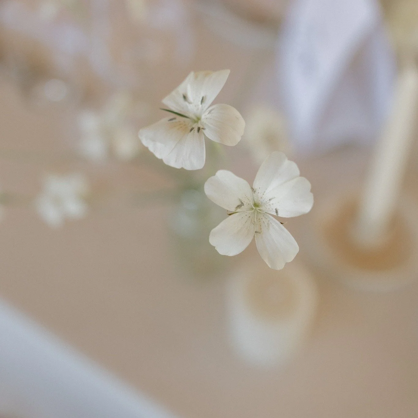 *COMMUNICATION UPDATE*

As I reflect on my work-life balance, I want to share a small but meaningful change in how I communicate with clients moving forward. While I&rsquo;ve always valued space for rest and intention, I&rsquo;ve realised that WhatsA