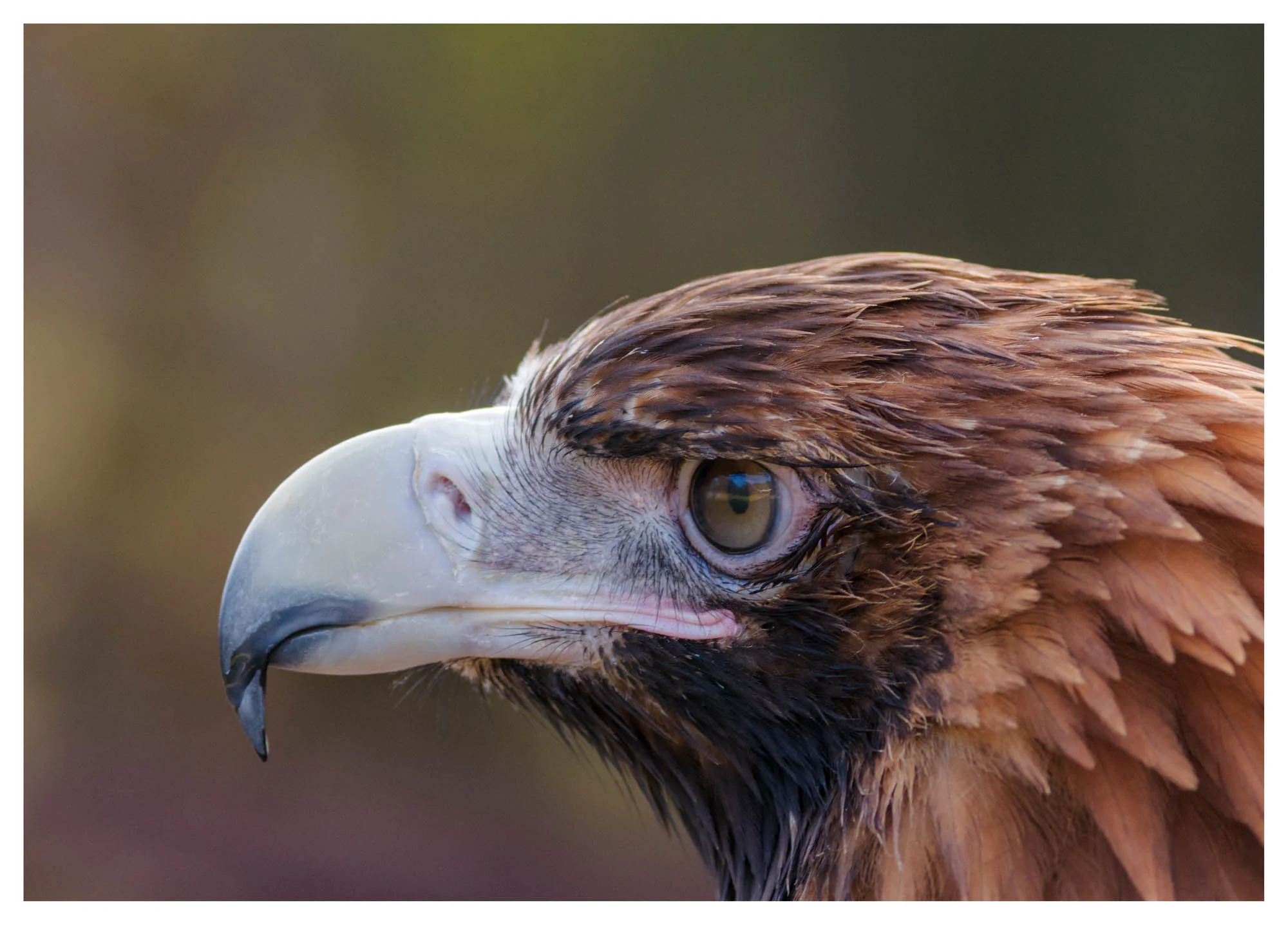 Thumbnail 15 Photography by Keith Seidel.JPG