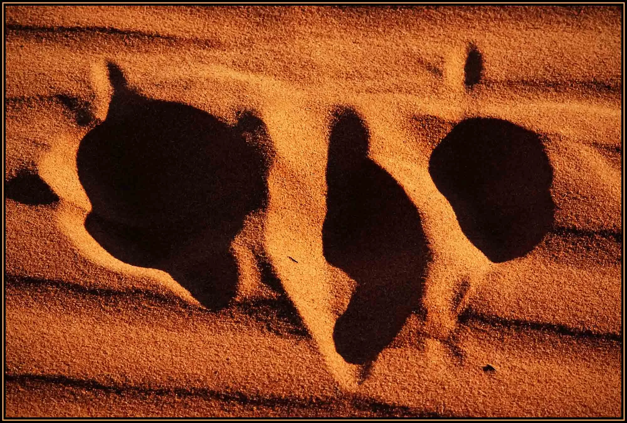 Personal Choices 06 Photography by Keith Seidel.JPG