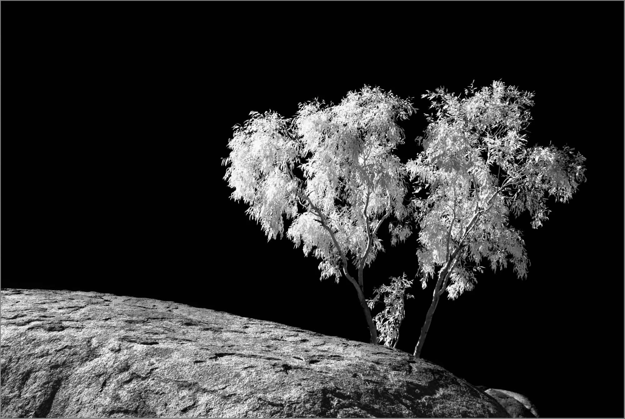 Infrared 05 Photography by Keith Seidel.JPG