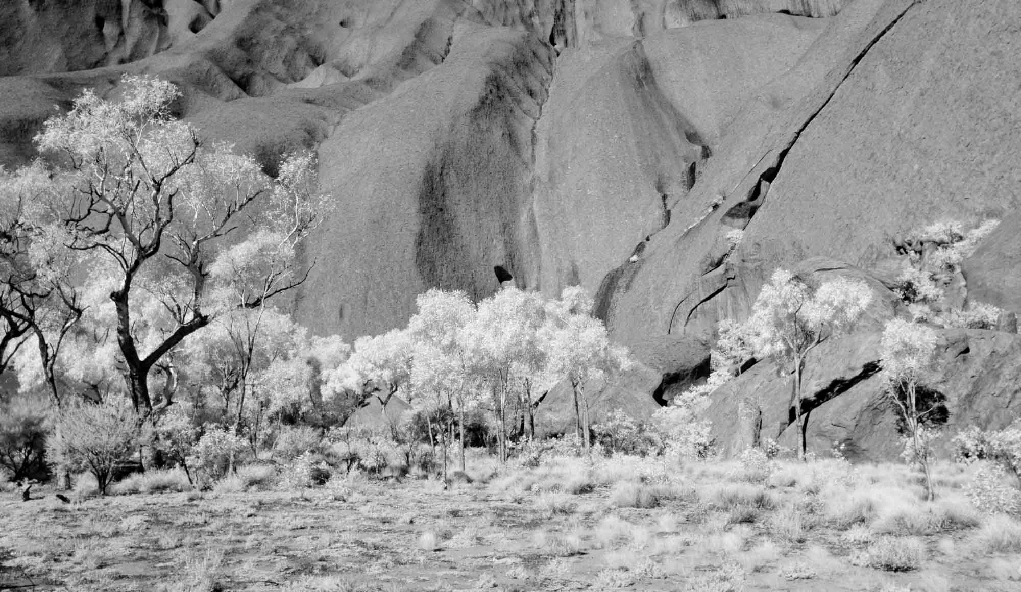 Infrared 08 Photography by Keith Seidel.JPG