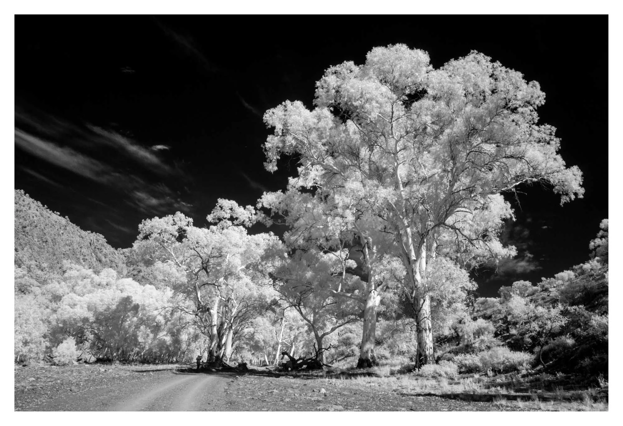 Infrared 11 Photography by Keith Seidel.JPG
