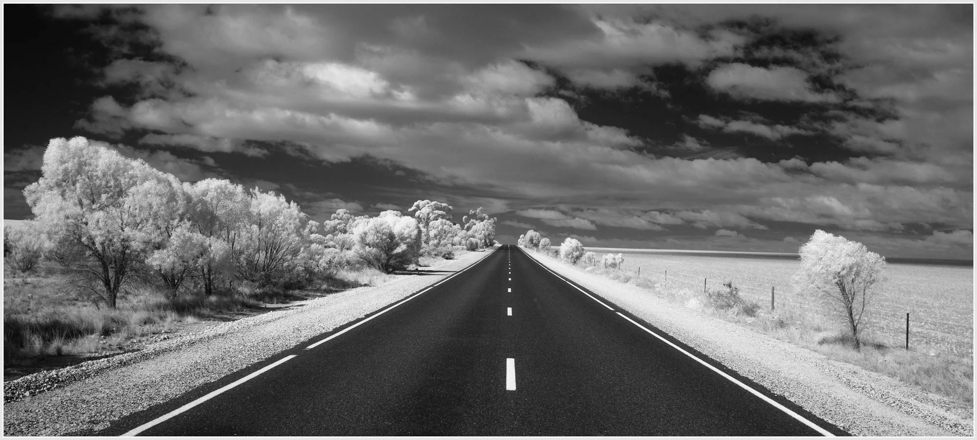 Infrared 13 Photography by Keith Seidel.JPG
