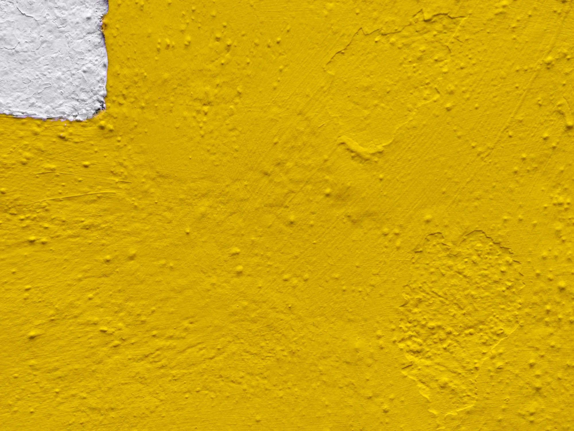 Expressions 08 Photography by Keith Seidel.JPG