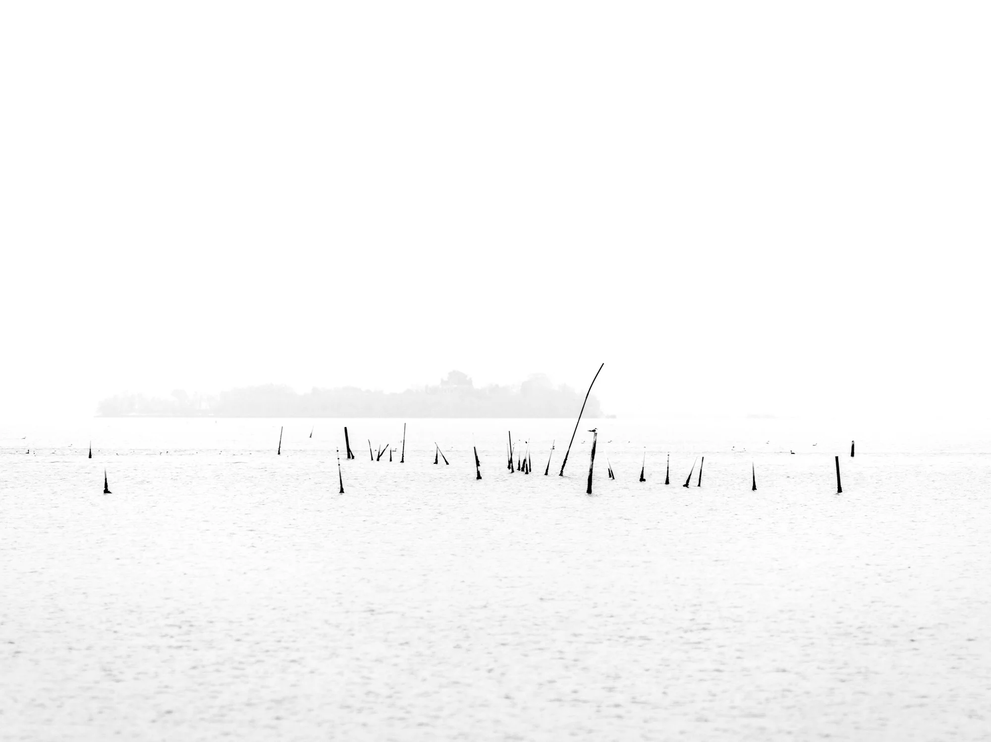 Expressions 14 Photography by Keith Seidel.JPG