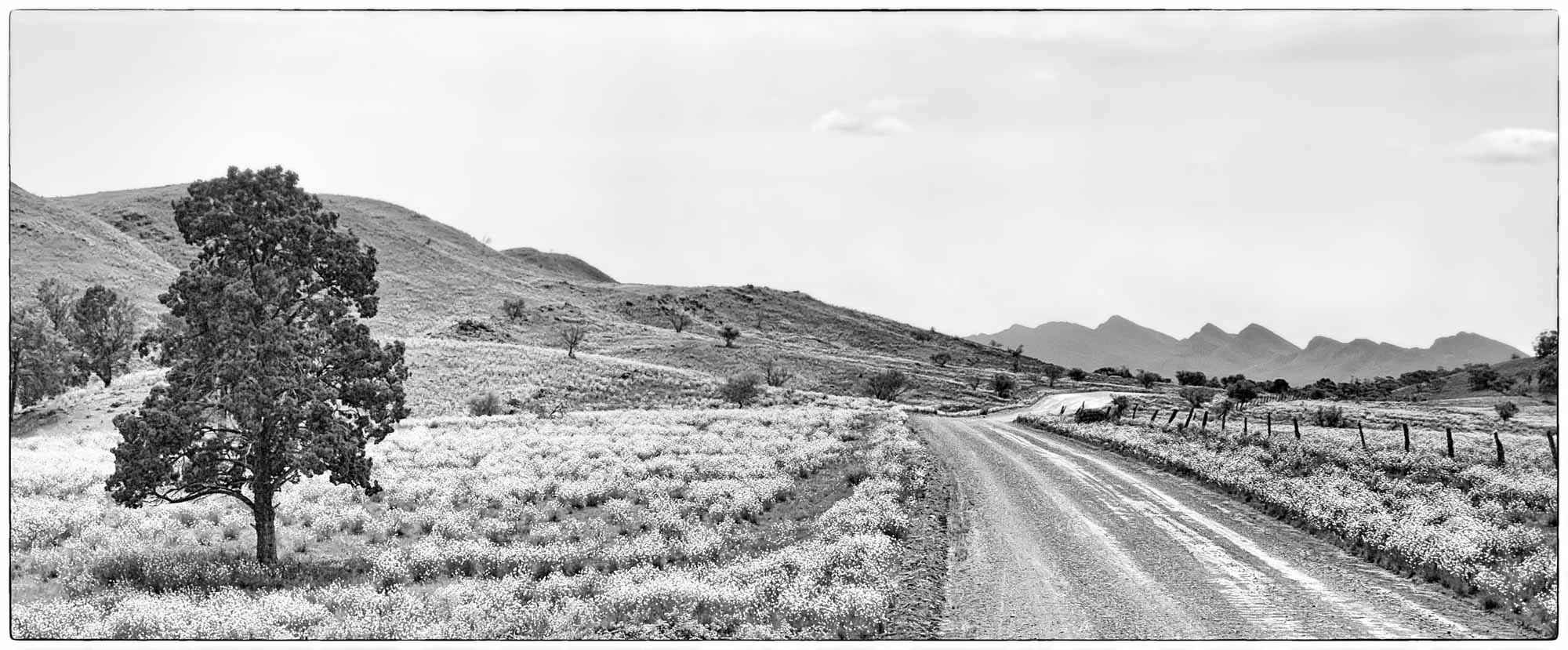 Panorama 29 Photography by Keith Seidel.JPG