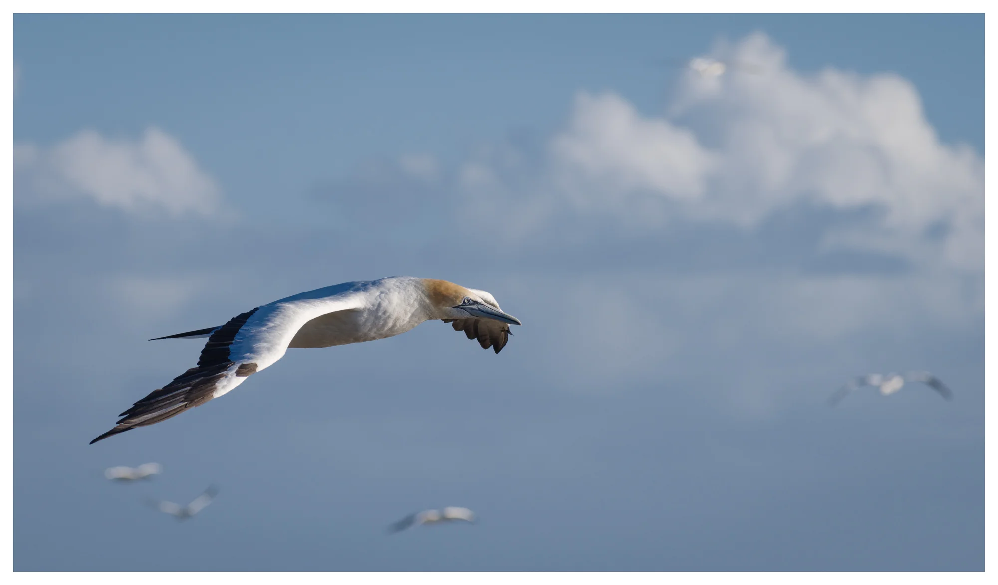 Natural World 06 Photography by Keith Seidel.JPG