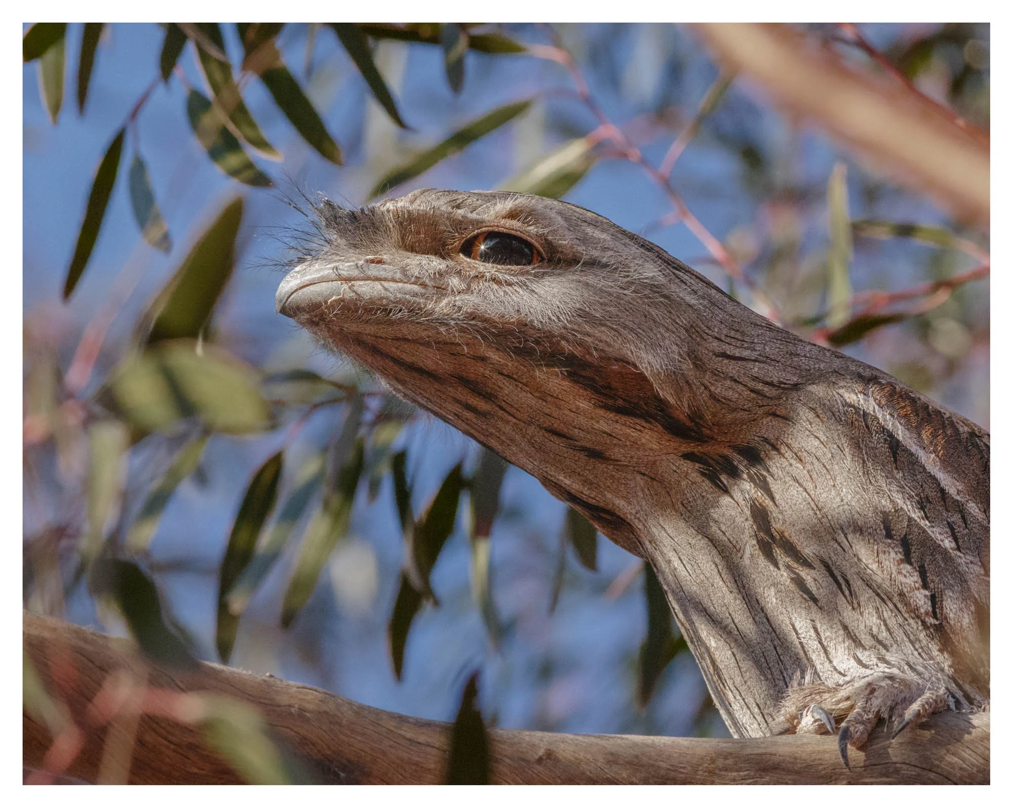 Natural World 09 Photography by Keith Seidel.JPG