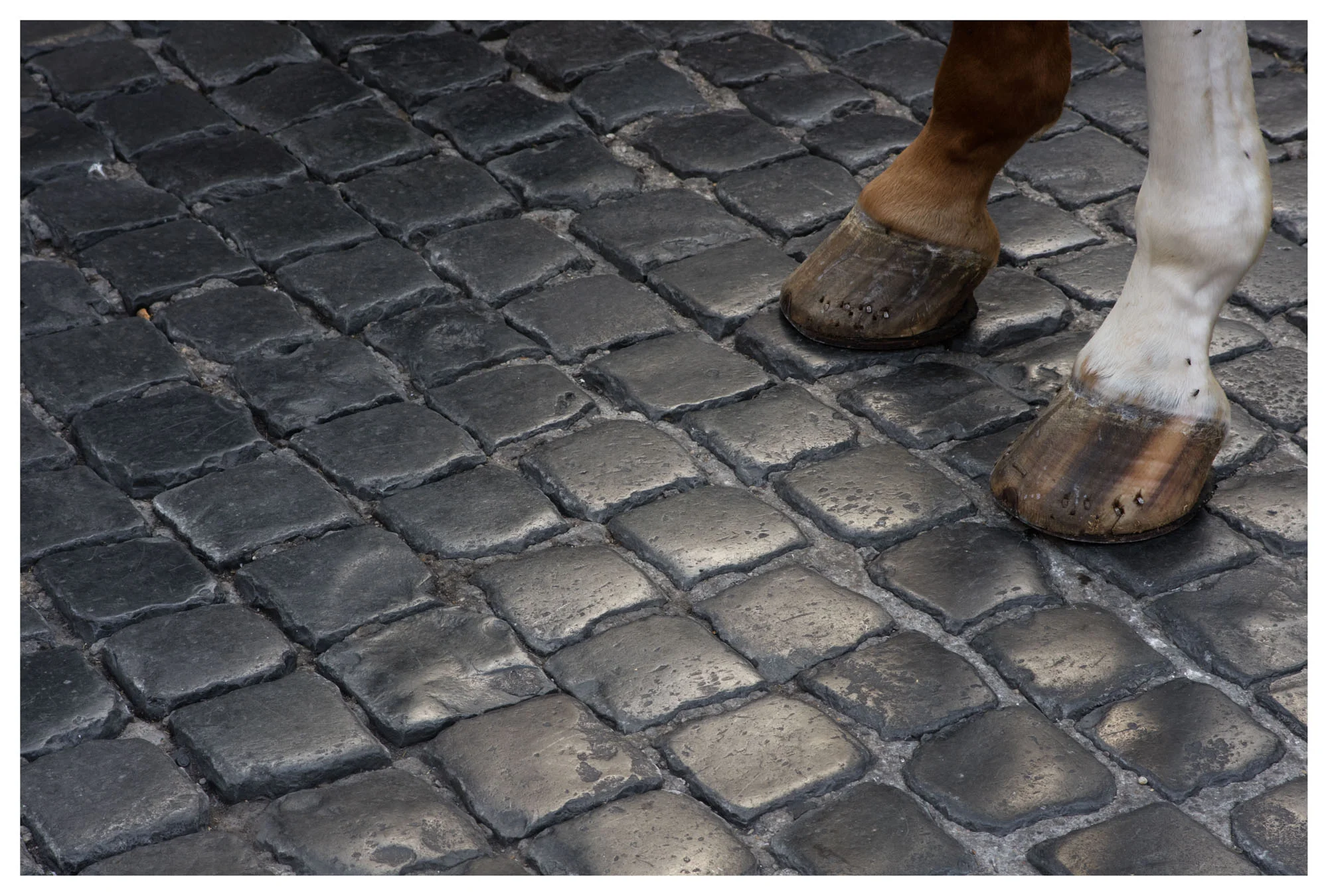 Rome 06 Photography by Keith Seidel.JPG