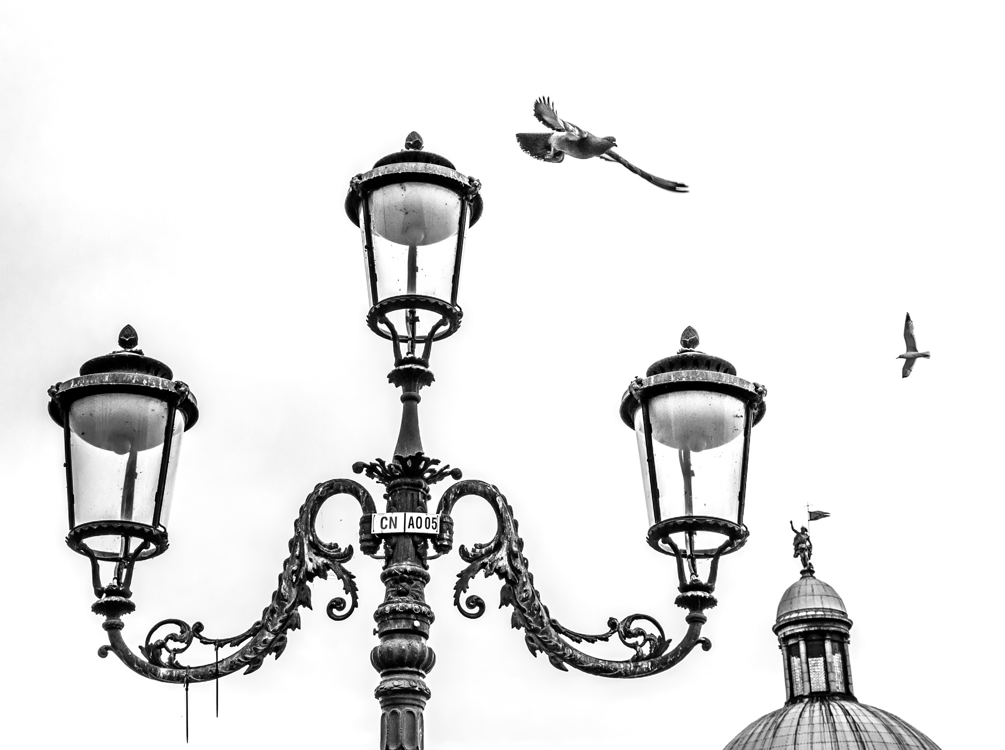 Venice 07 Photography by Keith Seidel.JPG