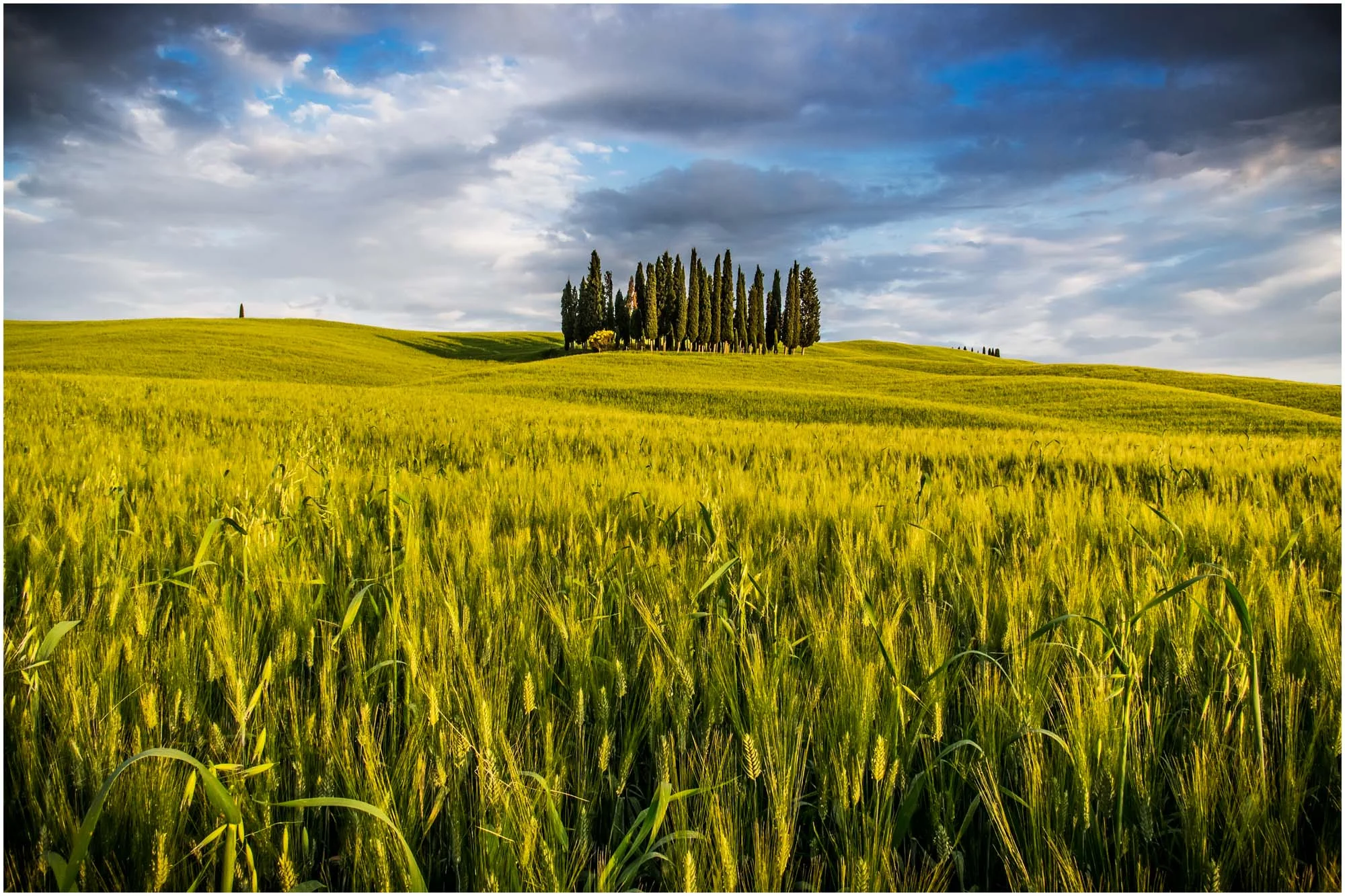 Tuscany 06 Photography by Keith Seidel.JPG