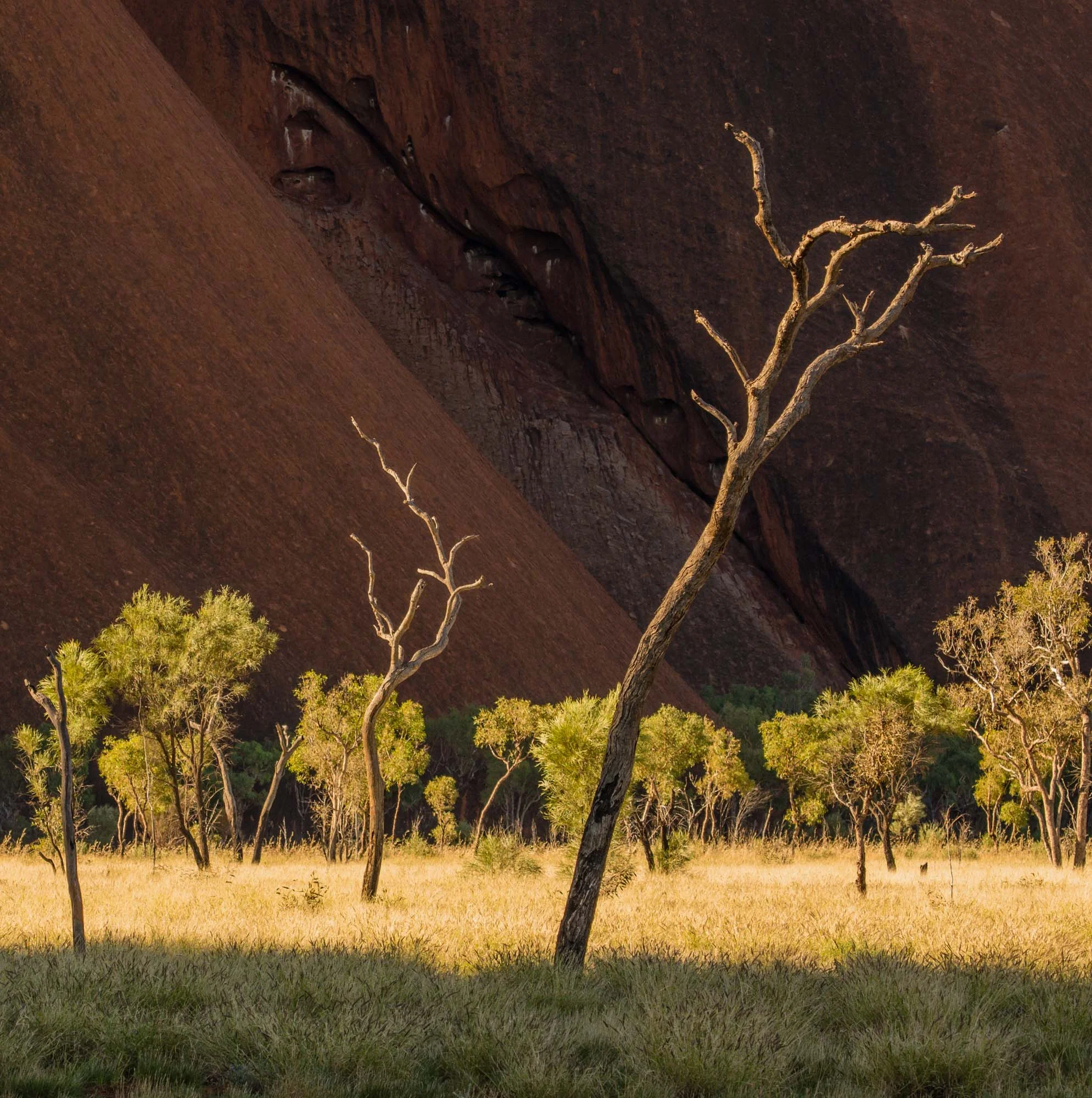 Australia 04 Photography by Keith Seidel.JPG