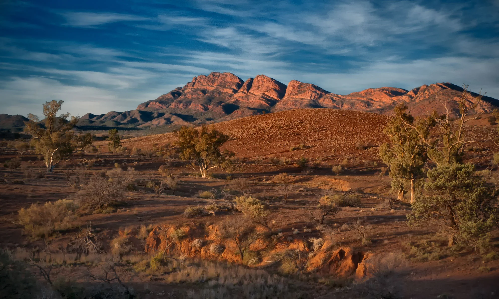 Flinders 15 Photography by Keith Seidel.JPG