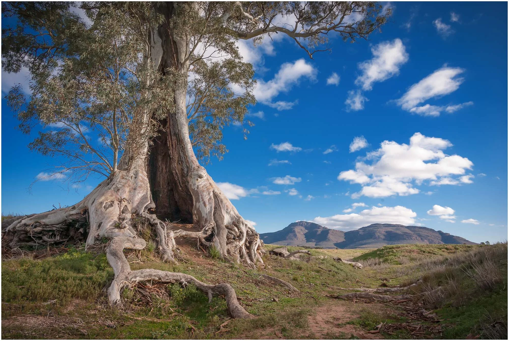 Flinders 16 Photography by Keith Seidel.JPG