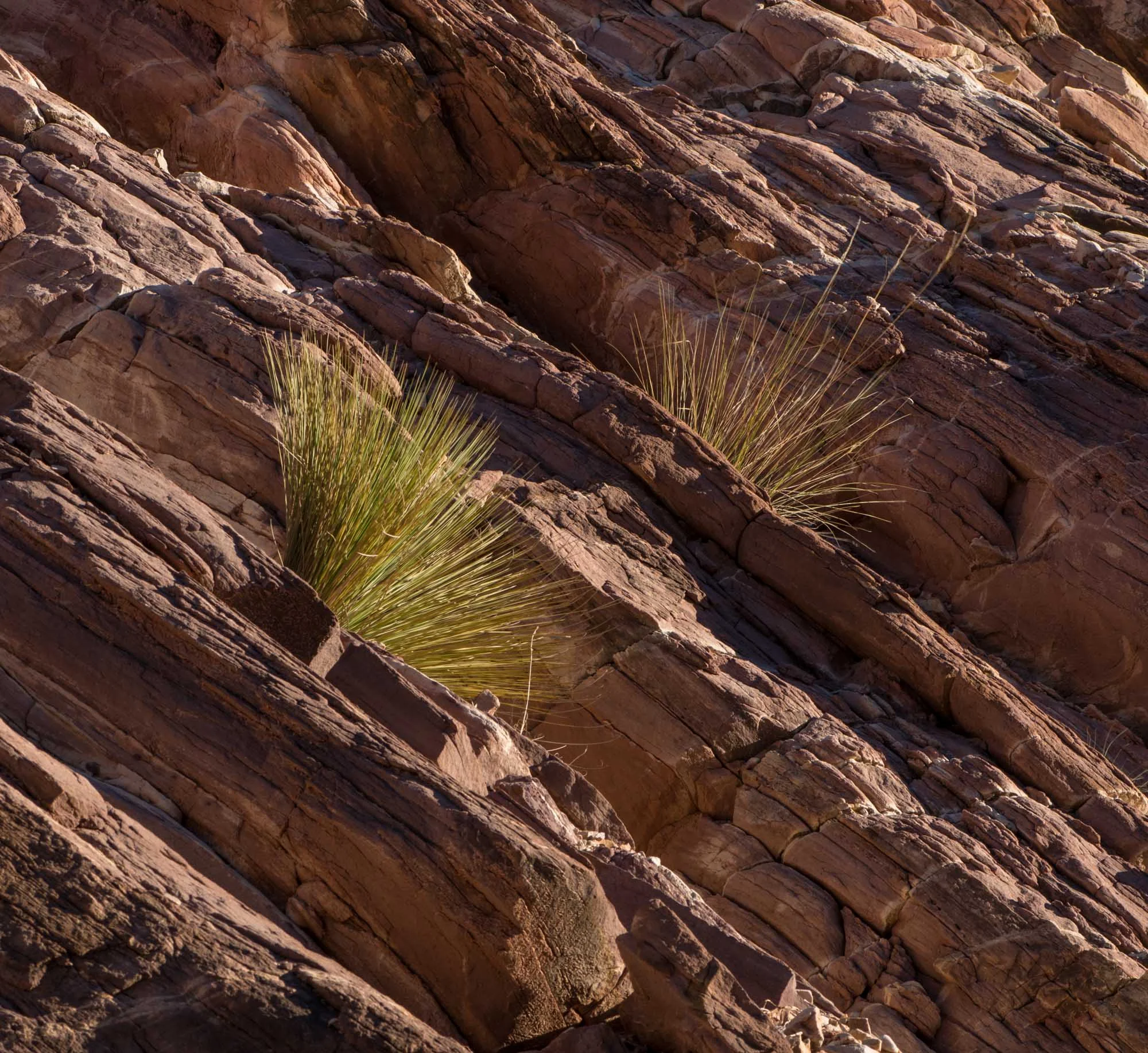 Flinders 20 Photography by Keith Seidel.JPG