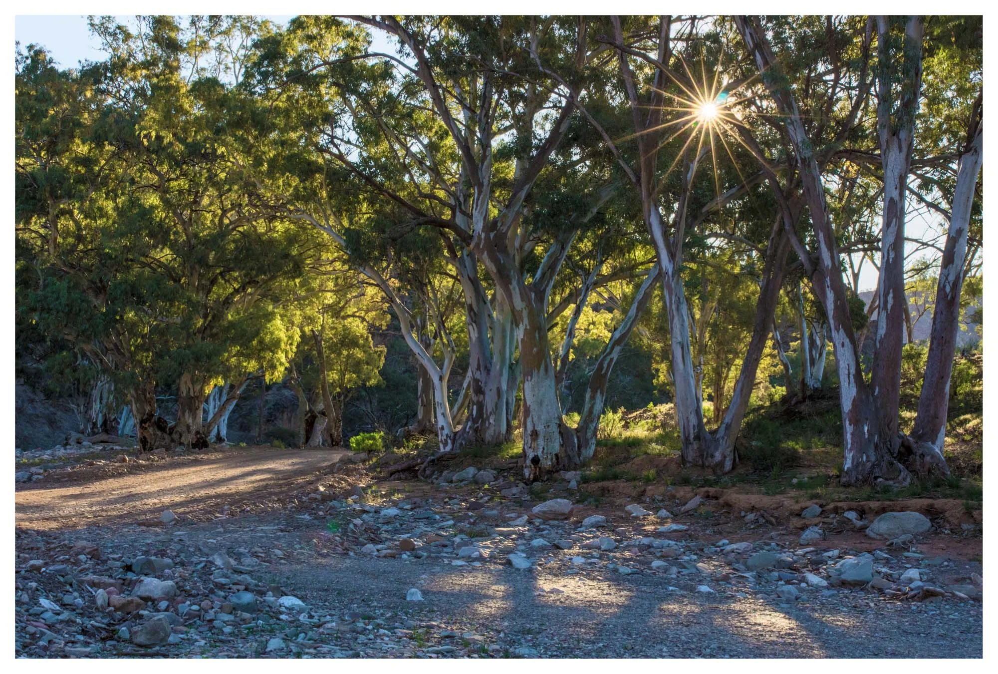 Flinders 26 Photography by Keith Seidel.JPG