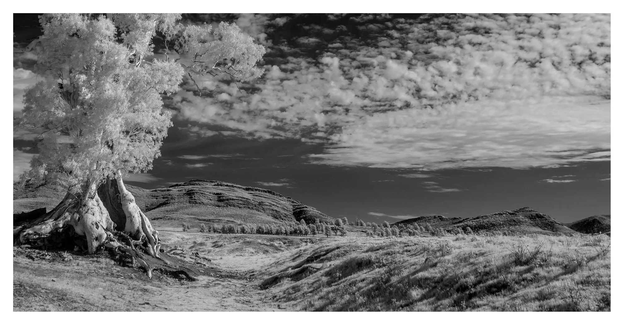 Flinders 30 Photography by Keith Seidel.JPG