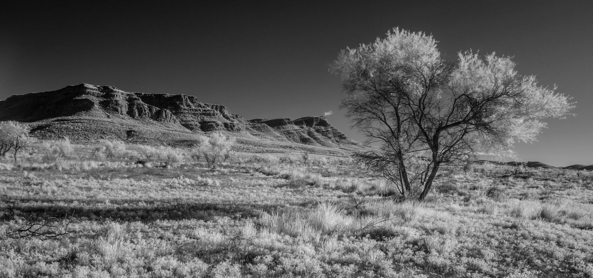 Flinders 31 Photography by Keith Seidel.JPG