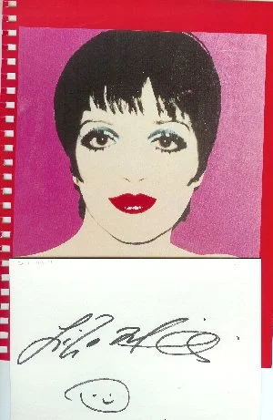 What do Liza Minelli and Nelson Wah have in common? Not much, I imagine. Other than the fact that we both care about the kids in children's hospitals.