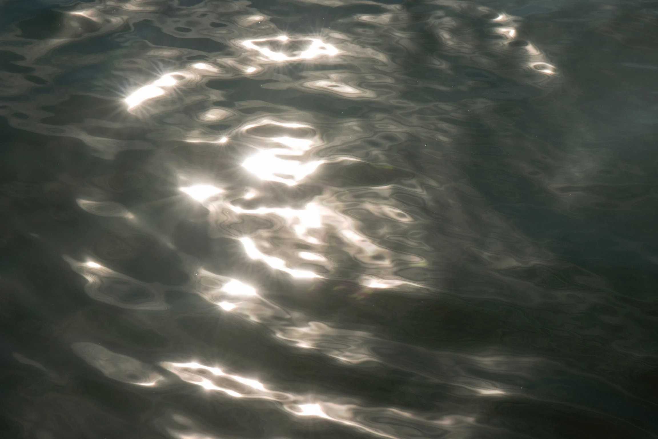 IMG_7956.jpeg