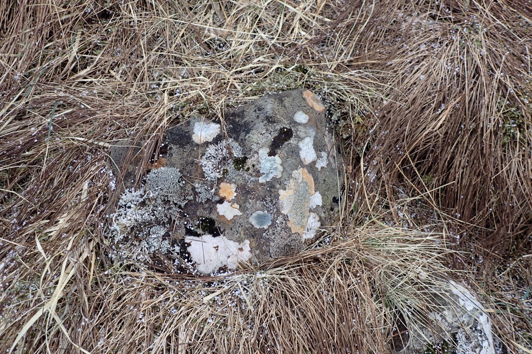 P2271941.jpeg