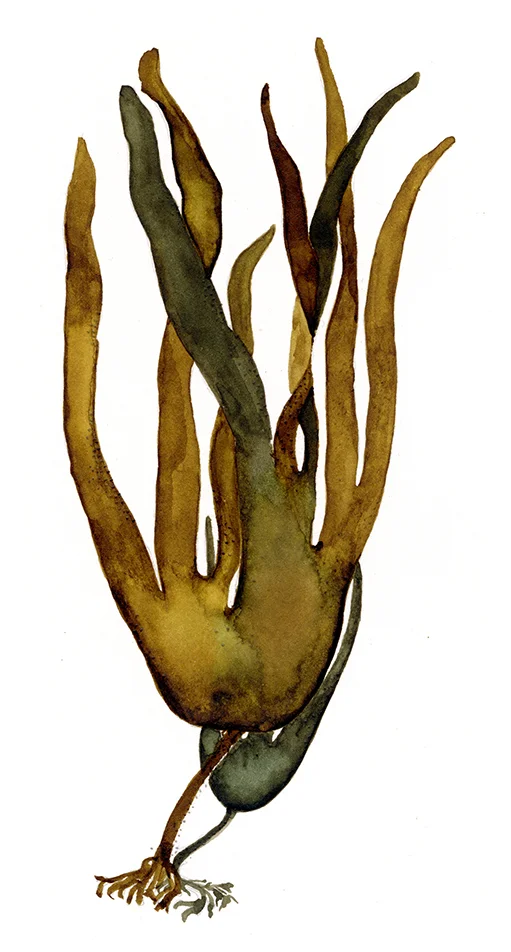 piezografie.vingerwier kopiëren.jpg