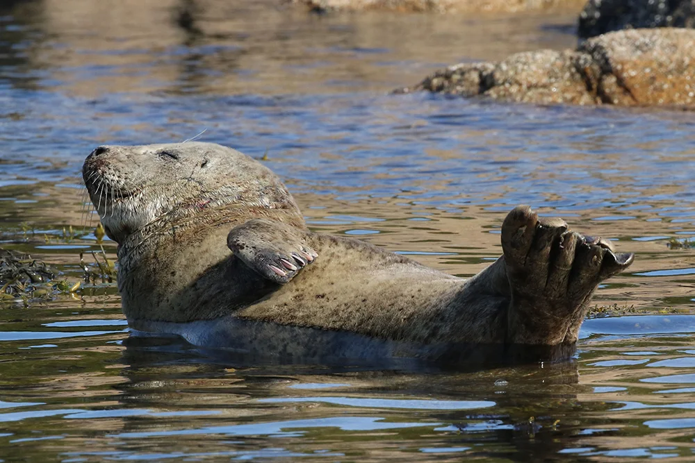  photograph by Binet Brasser 