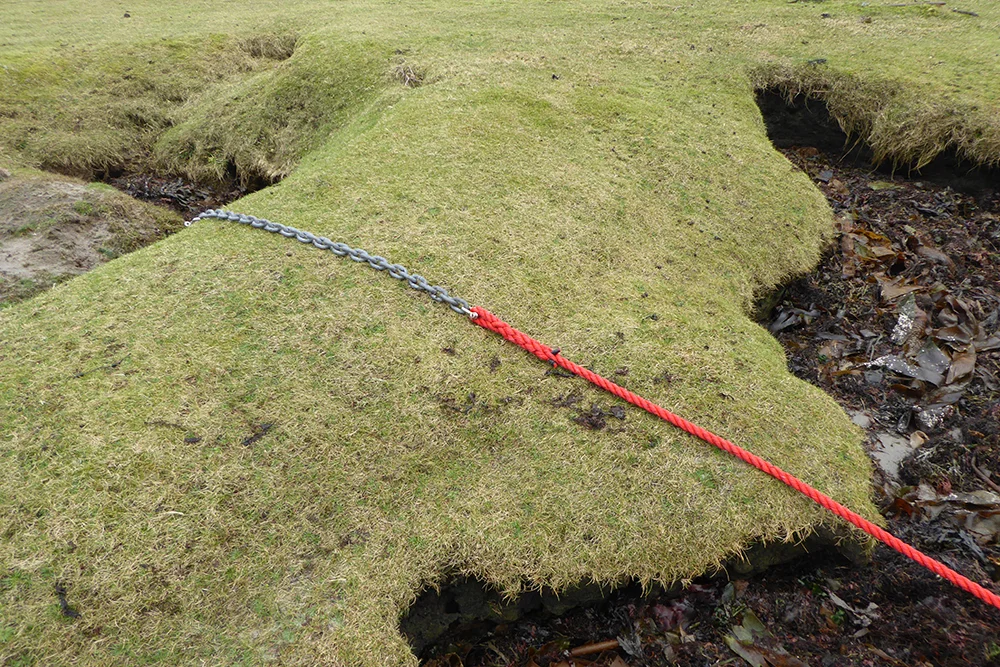 Gezonken Moer (in Dutch)