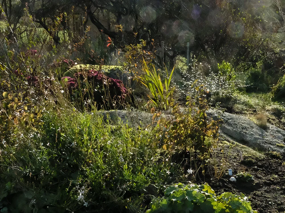 DSCF1798-web.jpg