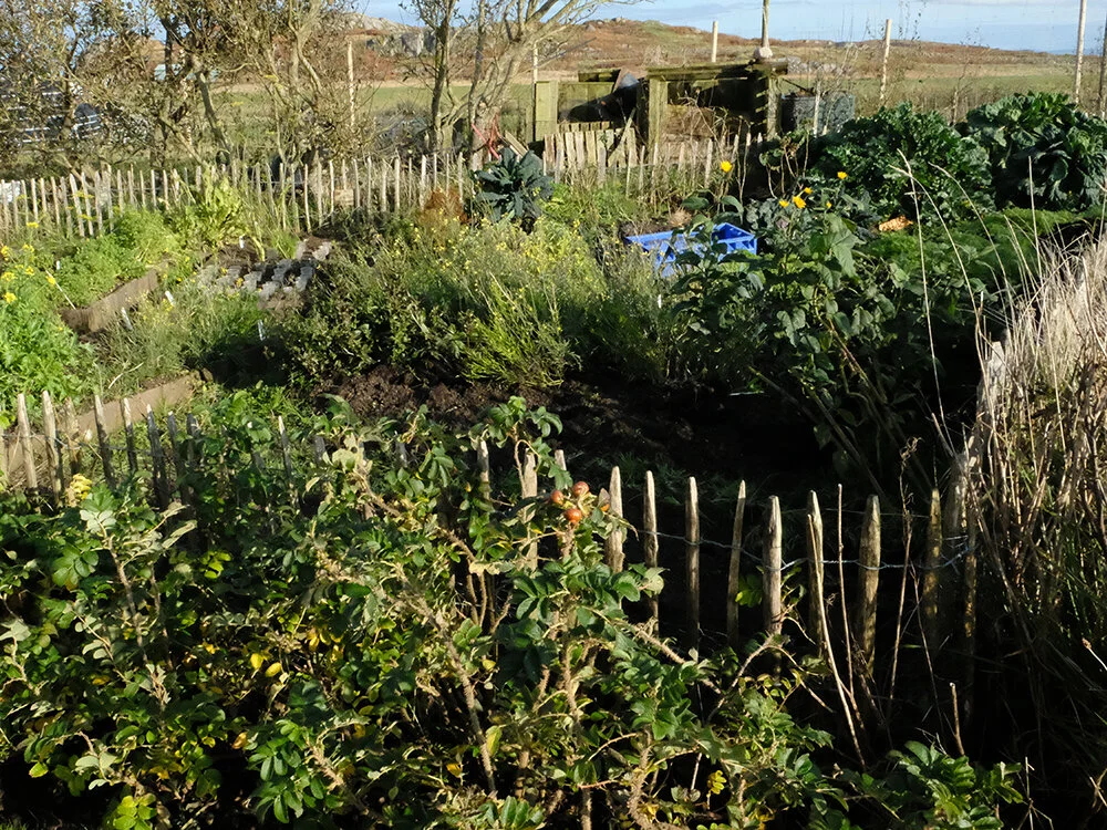 DSCF1792-web.jpg