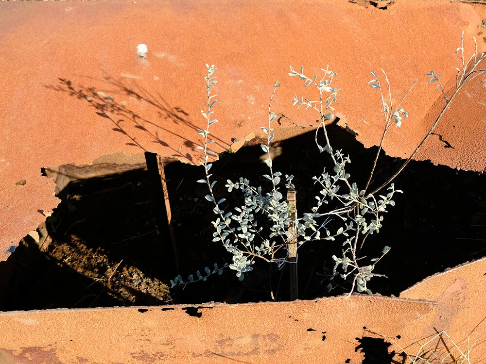 DSCF1944-web.jpg