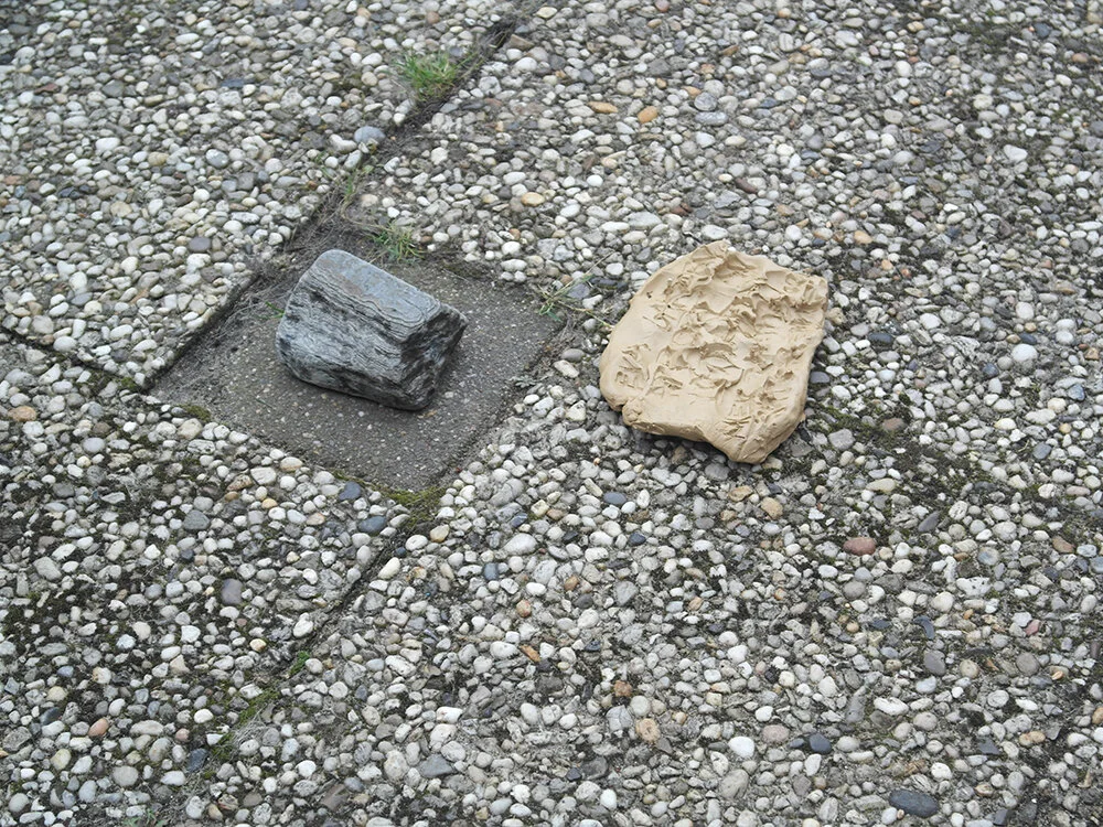 6.Eva's Garden installed.JPG