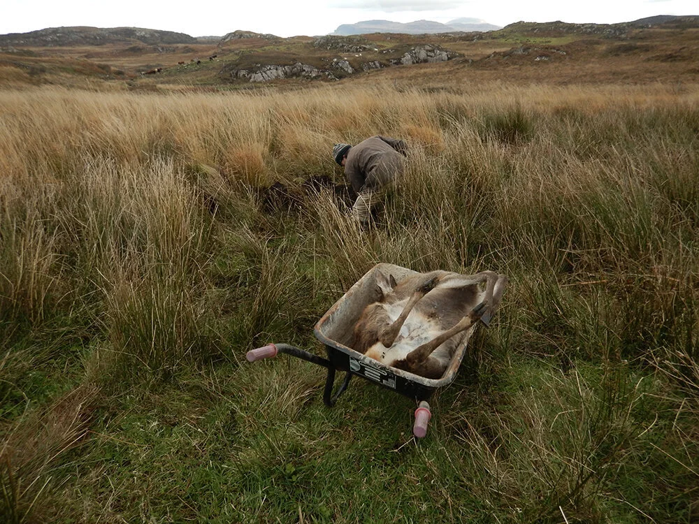 Letter to late Krijn Giezen