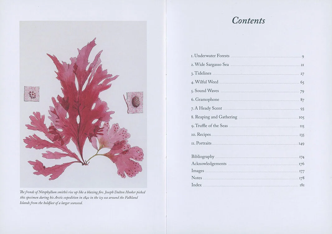 01.Seaweedhandbook.miekzwamborn.jpeg
