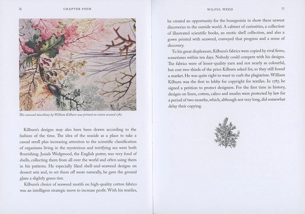 02.Seaweedhandbook.miekzwamborn .jpeg