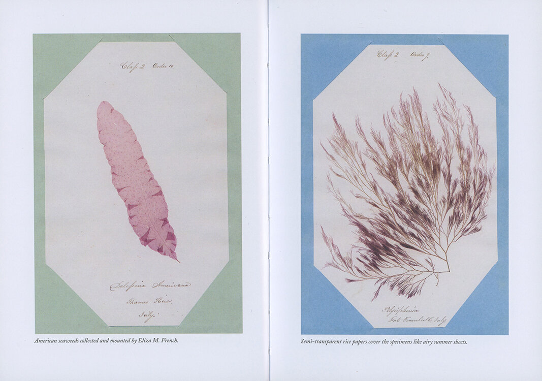 03.Seaweedhandbook.miekzwamborn .jpeg