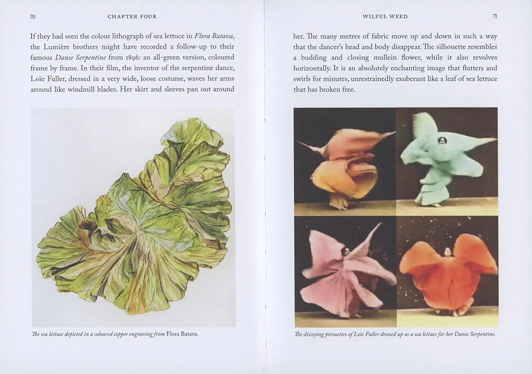 06.Seaweedhandbook.miekzwamborn .jpeg