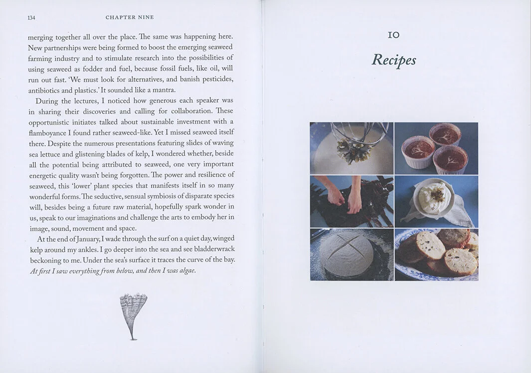 08.Seaweedhandbook.miekzwamborn .jpeg