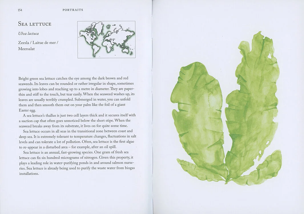 10.Seaweedhandbook.miekzwamborn.jpeg